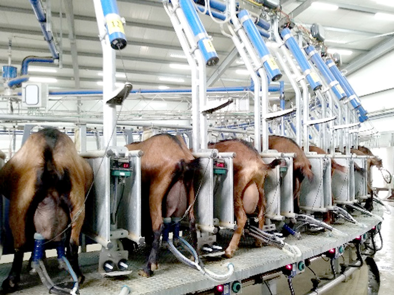 ת̨ʽ���̻�